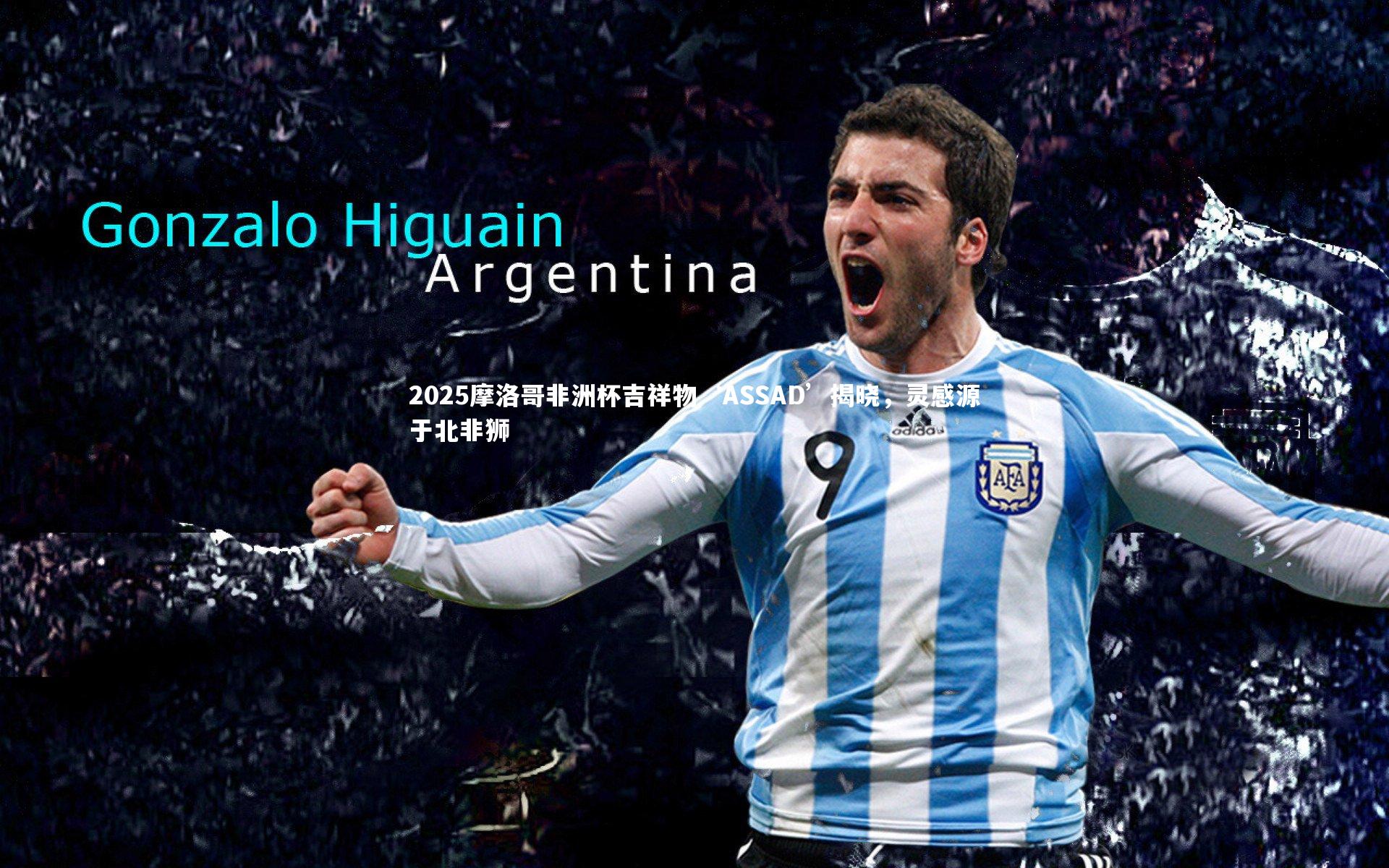 2025摩洛哥非洲杯吉祥物‘ASSAD’揭晓，灵感源于北非狮